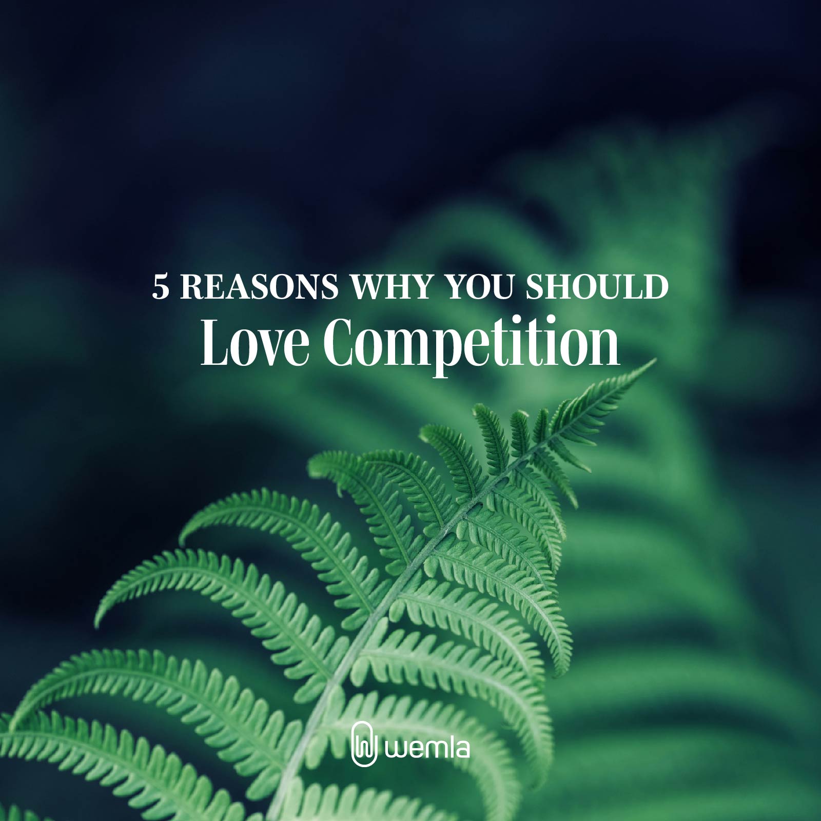 Ferns on black background and text 5 reasons why you should love competition