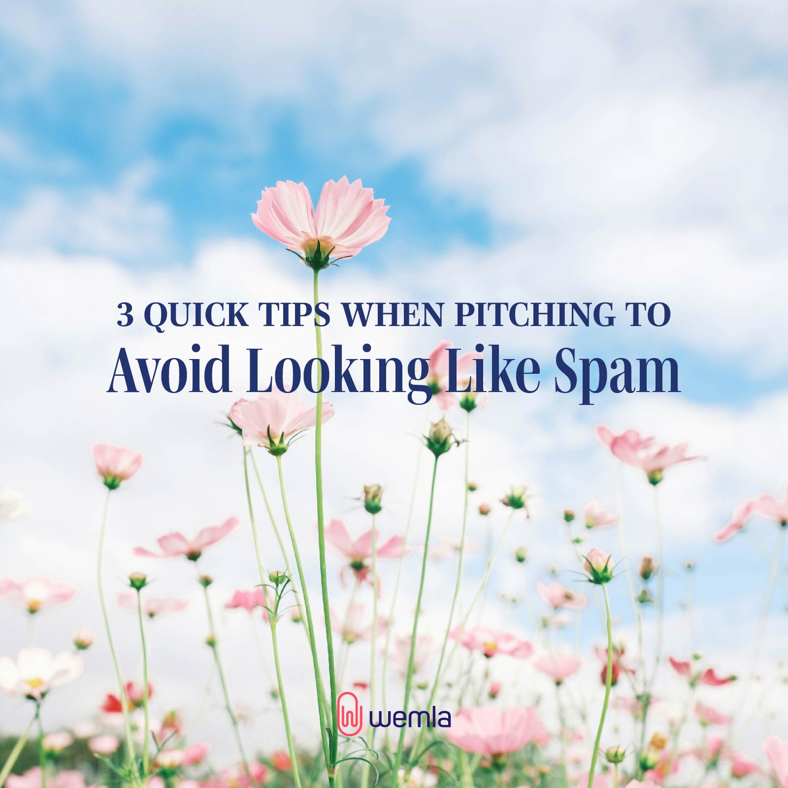 Field of pink wildflowers and text 3 quick tips when pitching to avoid looking like spam