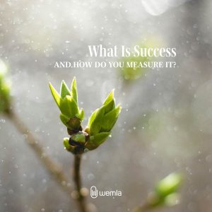 A leaf bud on tree with bokeh effect all over and text What is success and how do you measure it