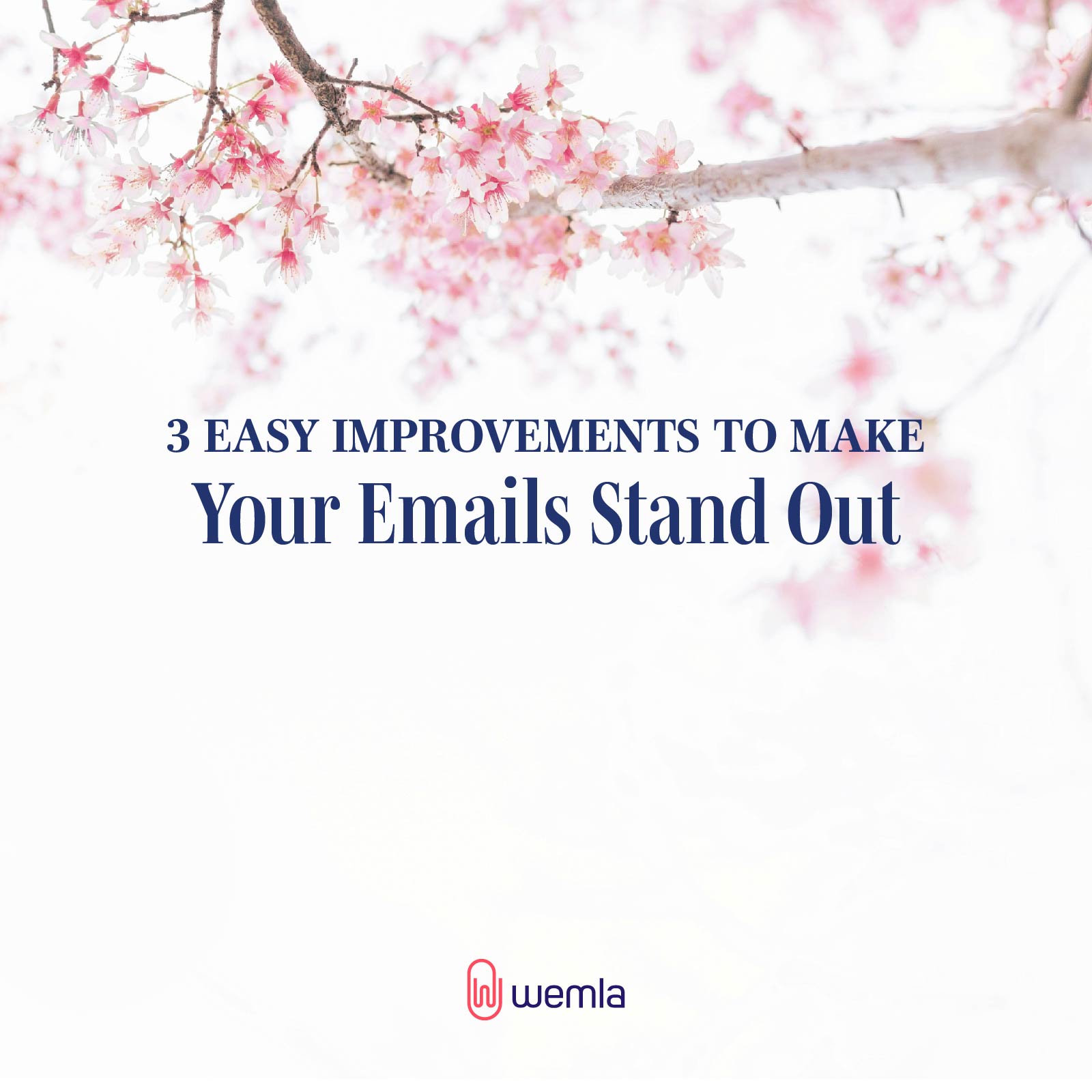 A branch of pink cherry tree and text Three easy improvements to make your emails stand out