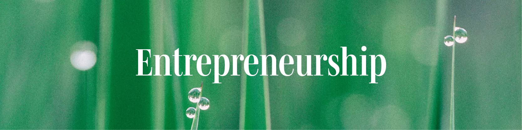 Water droplets at grass tips and text Entrepreneurship