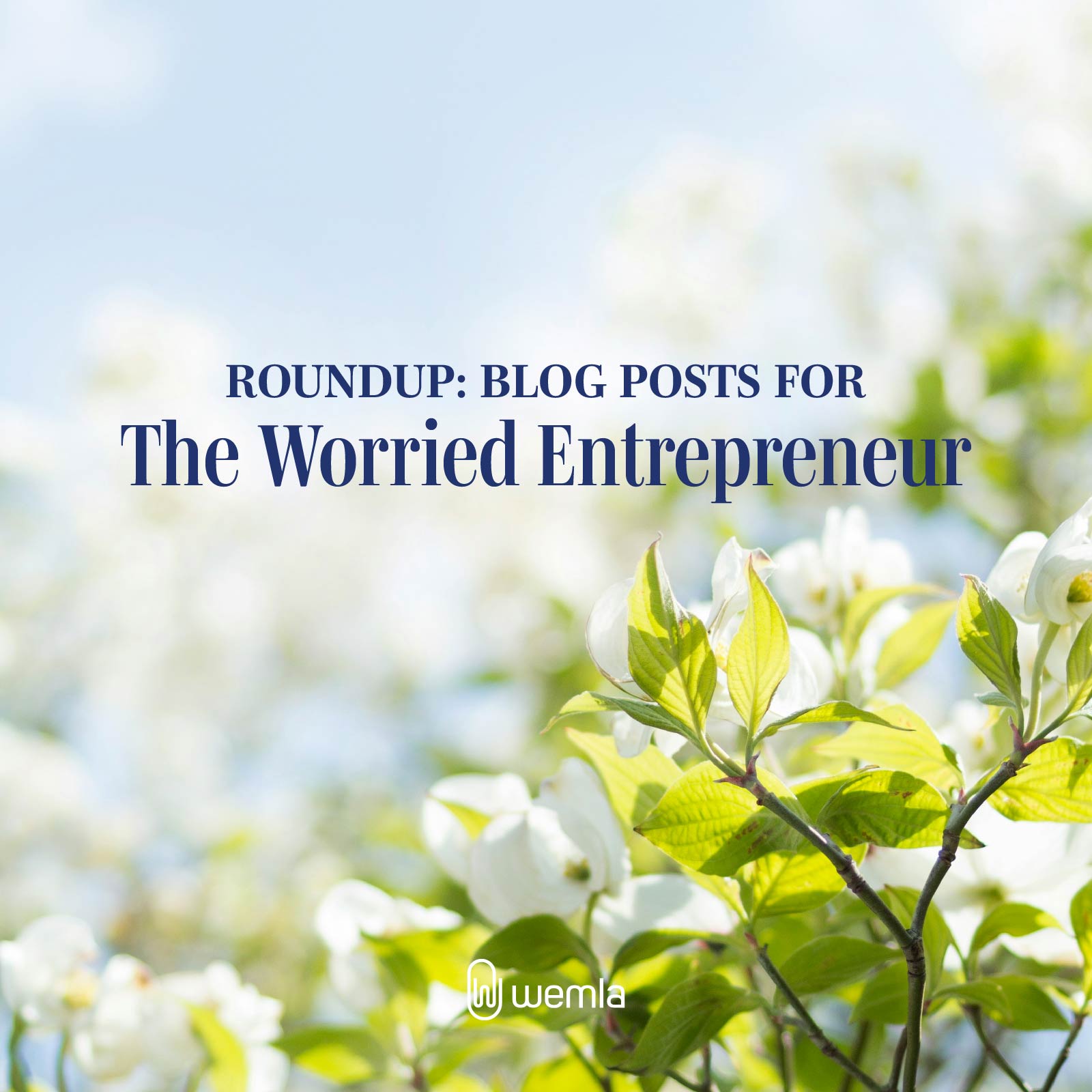 White flowering tree in sunlight and text Roundup: blog posts for the worried entrepreneur