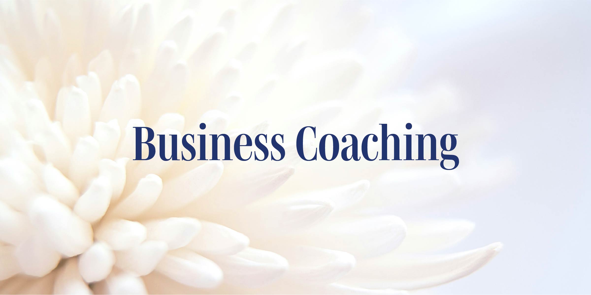 Closeup of white flower and text Business coaching