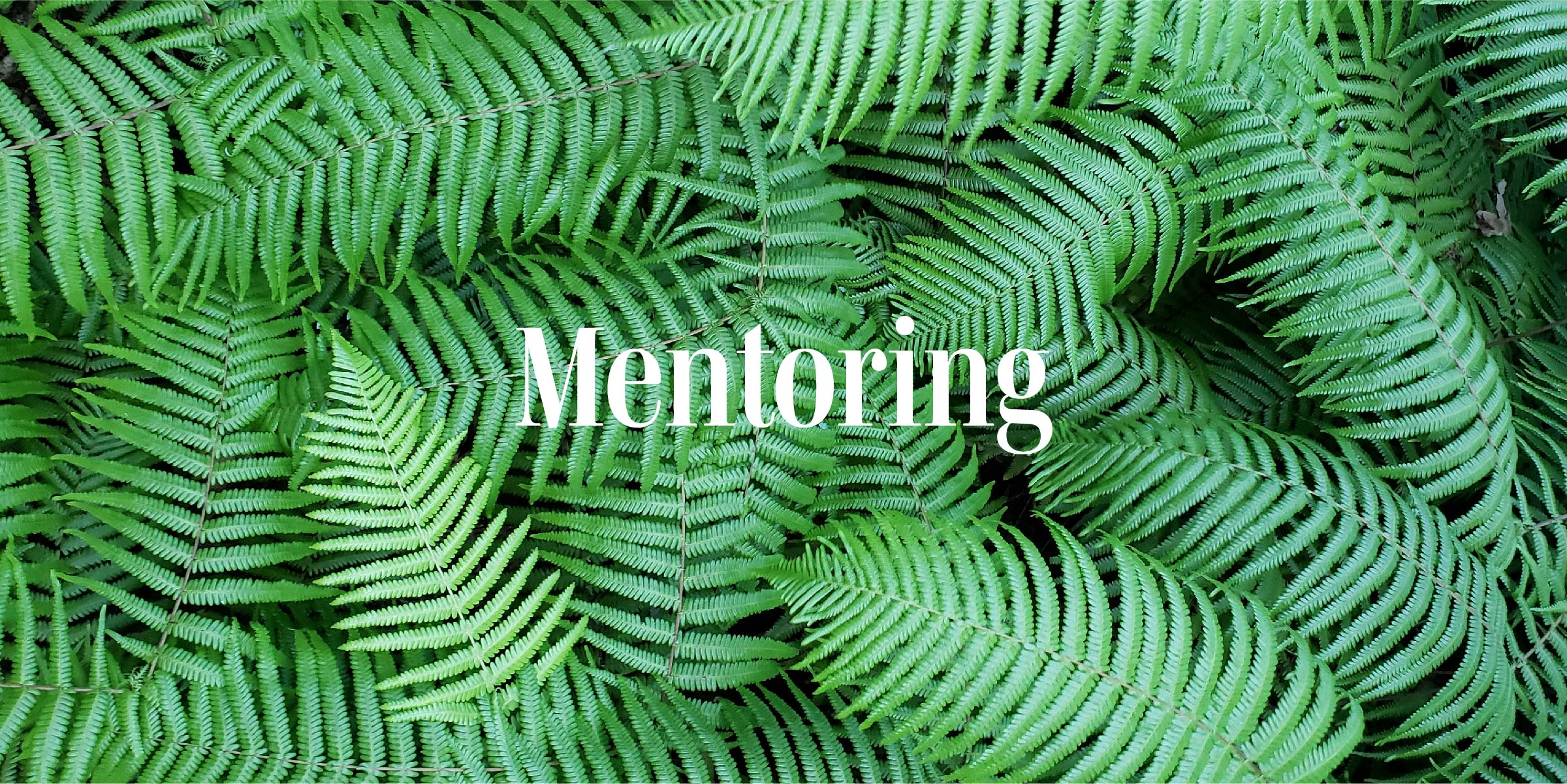 Ferns from above and text Mentoring