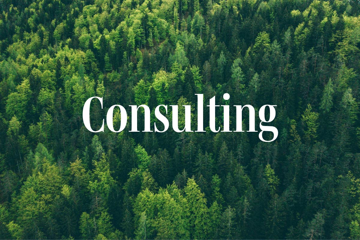Forest from above and text Consulting