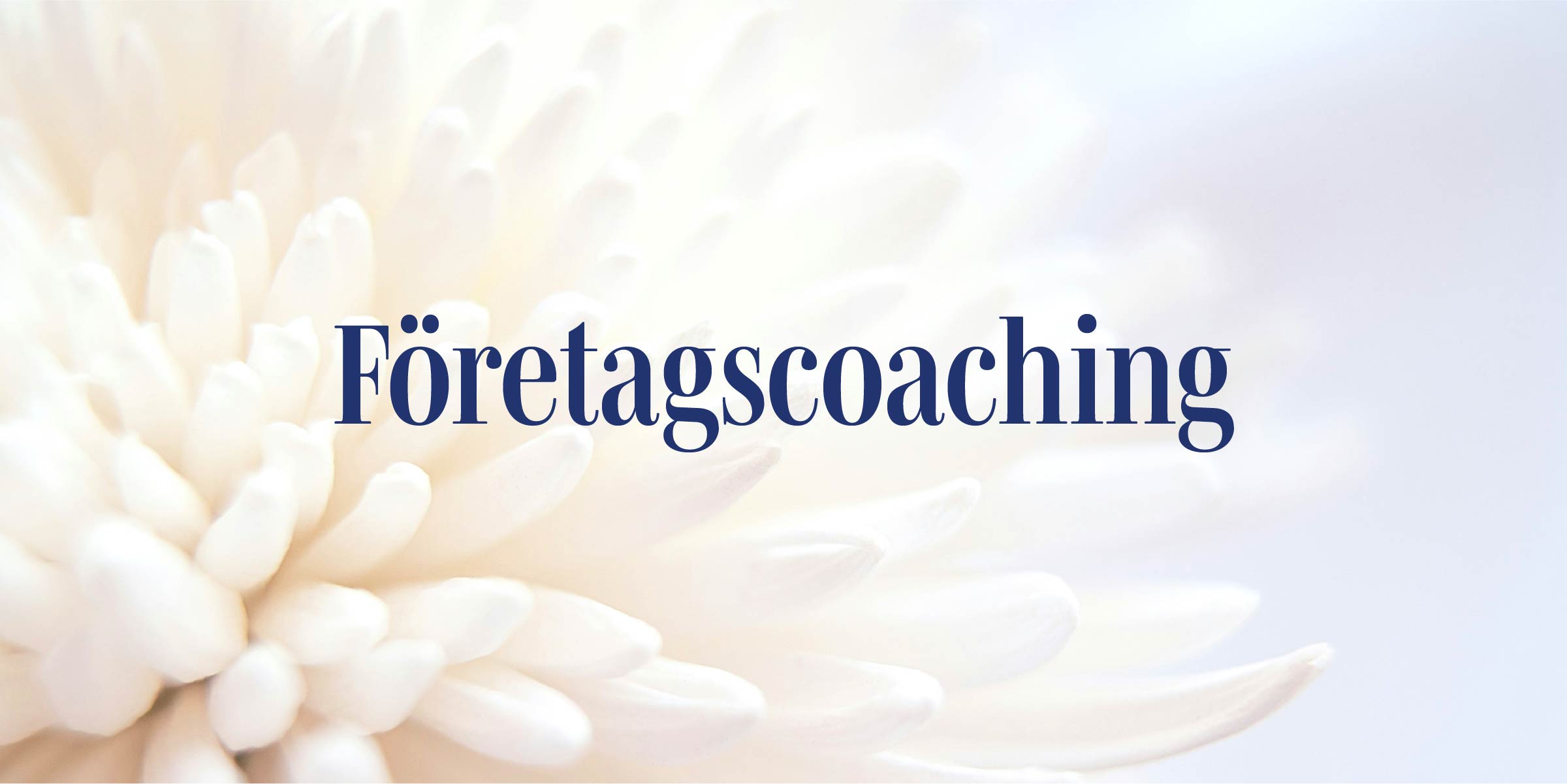 Närbild av vit blomma och ovanpå texten Företagscoaching