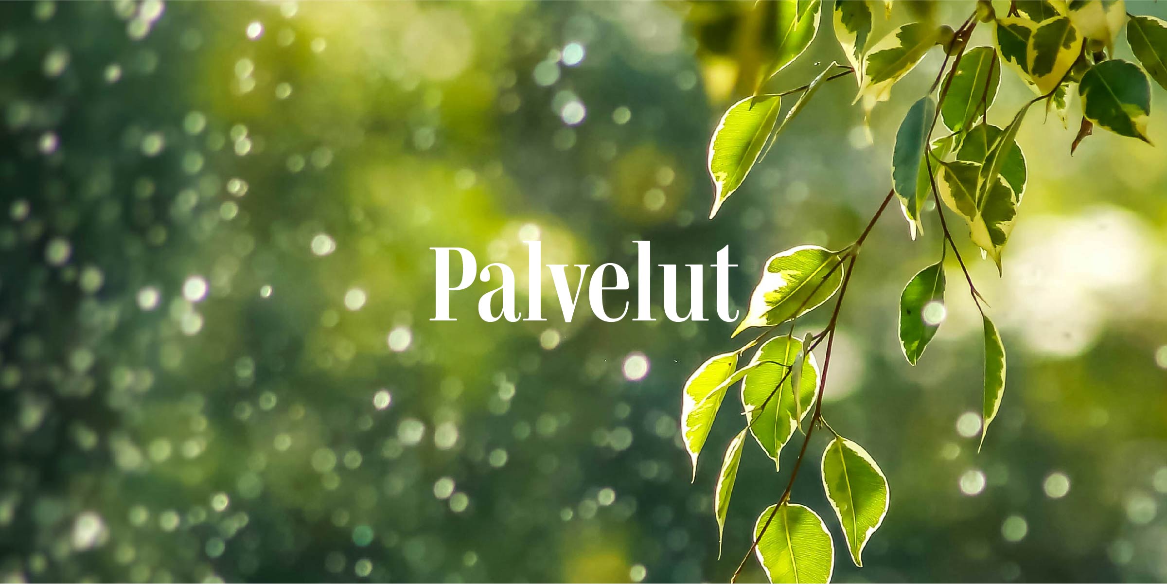 Bokeh efekti auringonvalossa lehtipuumetsässä ja päällimmäisenä teksti joka sanoo Palvelut
