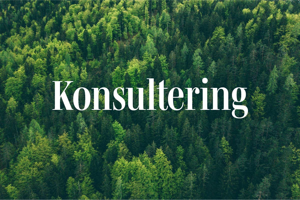 Skog uppifrån och text ovanpå som säger Konsultering