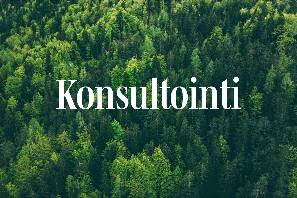 Kuusimetsä ylhäältä ja päällimmäisenä teksti joka sanoo Konsultointi