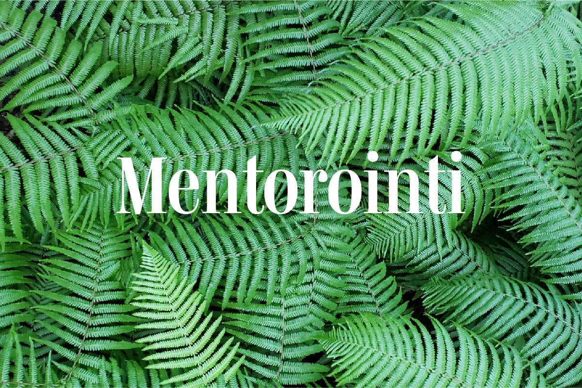 Saniaisia ylhäältä ja päällimmäisenä teksti joka sanoo Mentorointi