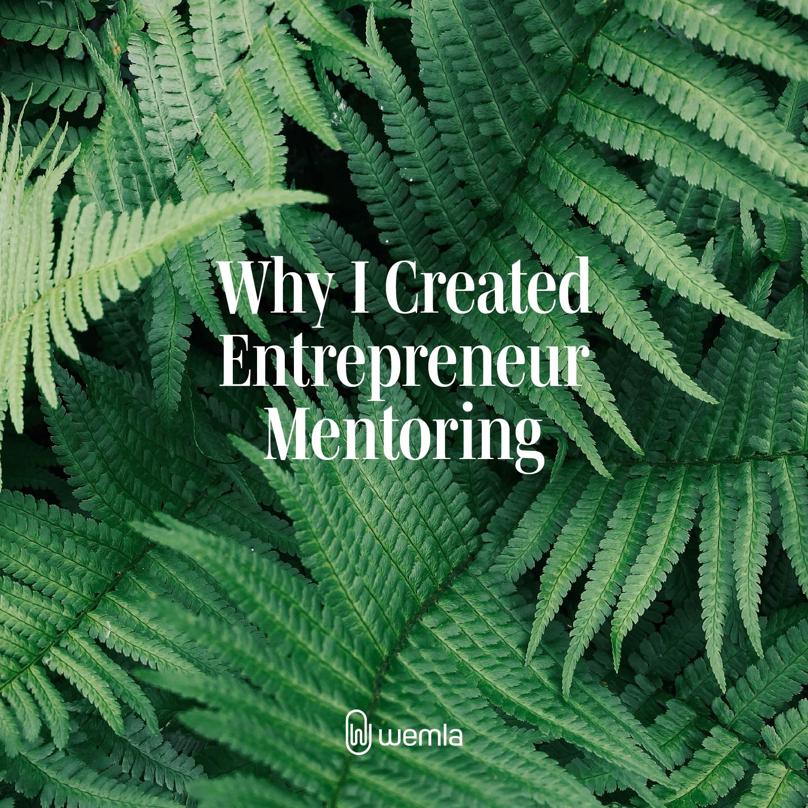 Ferns from above and text overlay saying Why I Created Entrepreneur Mentoring