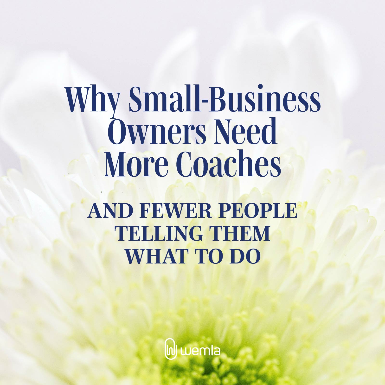 Closeup of white flower with green center and text overlay saying Why Small-Business Owners Need More Coaches And Fewer People Telling Them What To Do